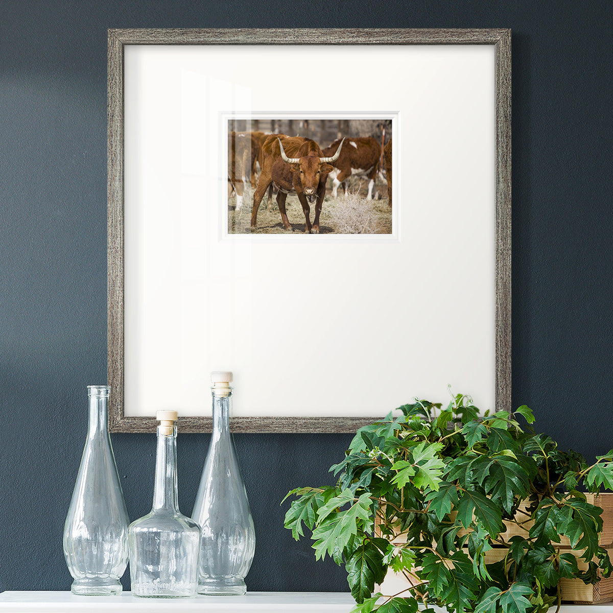 Longhorns - Double Matboard Framed Print