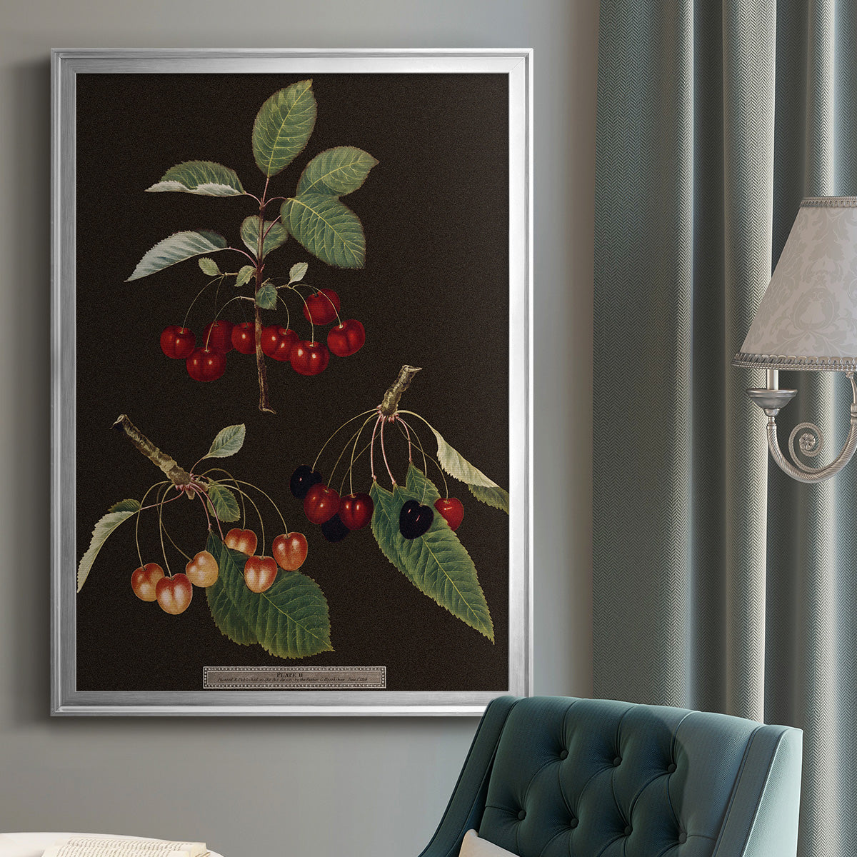 Brookshaw Cherries - Modern Framed Canvas Print