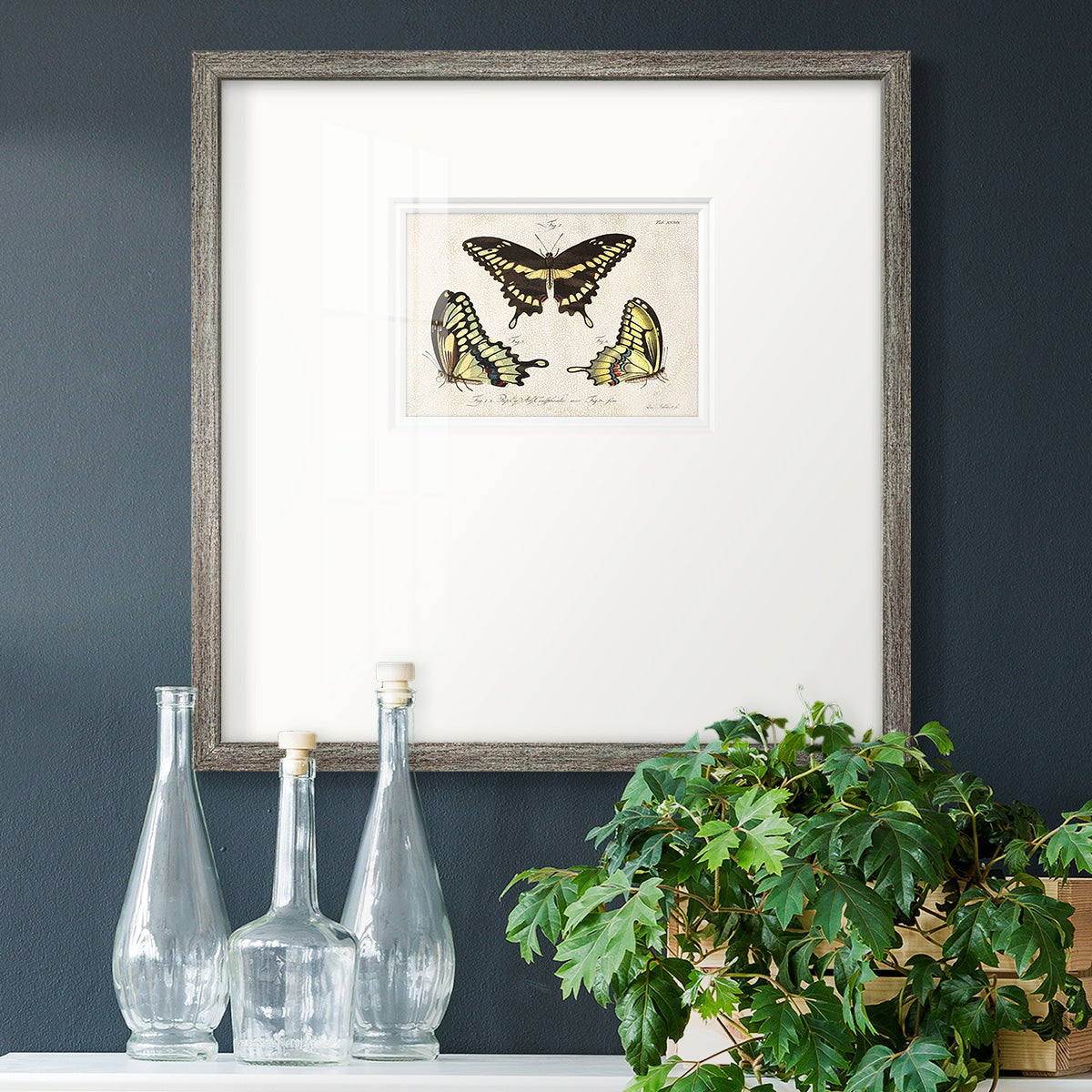 Crackled Butterflies I - Double Matboard Framed Print