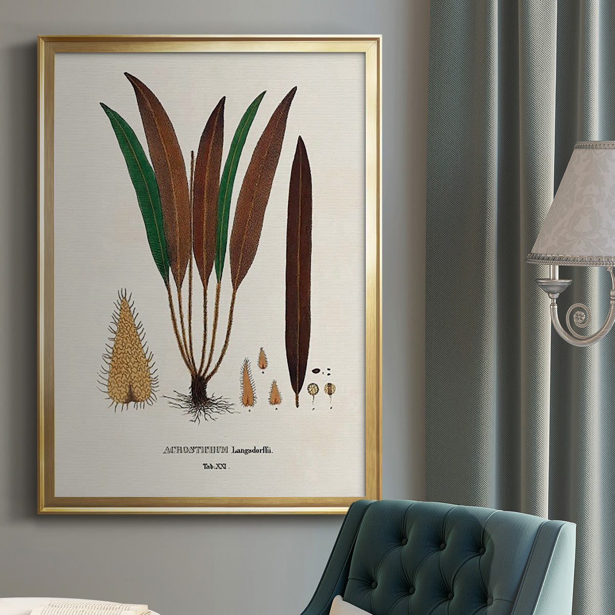 Botanical Society Ferns I - Modern Framed Canvas Print