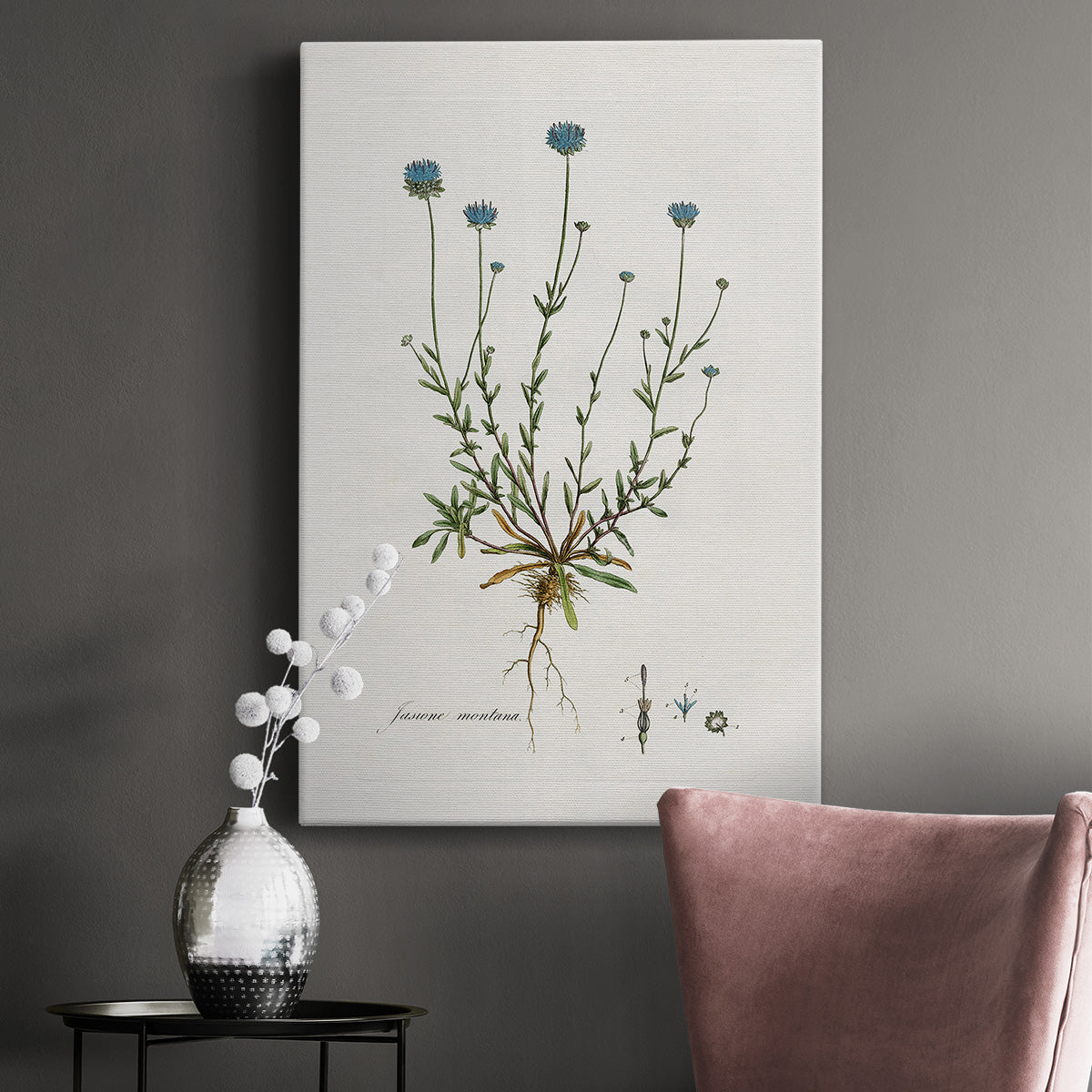 Bellflower Study Premium Gallery Wrapped Canvas - Ready to Hang