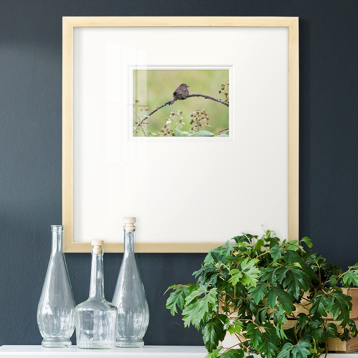 Resting Sparrow- Premium Framed Print Double Matboard