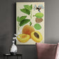 Apricot Study I Premium Gallery Wrapped Canvas - Ready to Hang