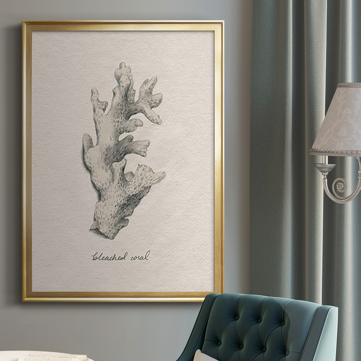 Shore Treasure Study II - Modern Framed Canvas Print