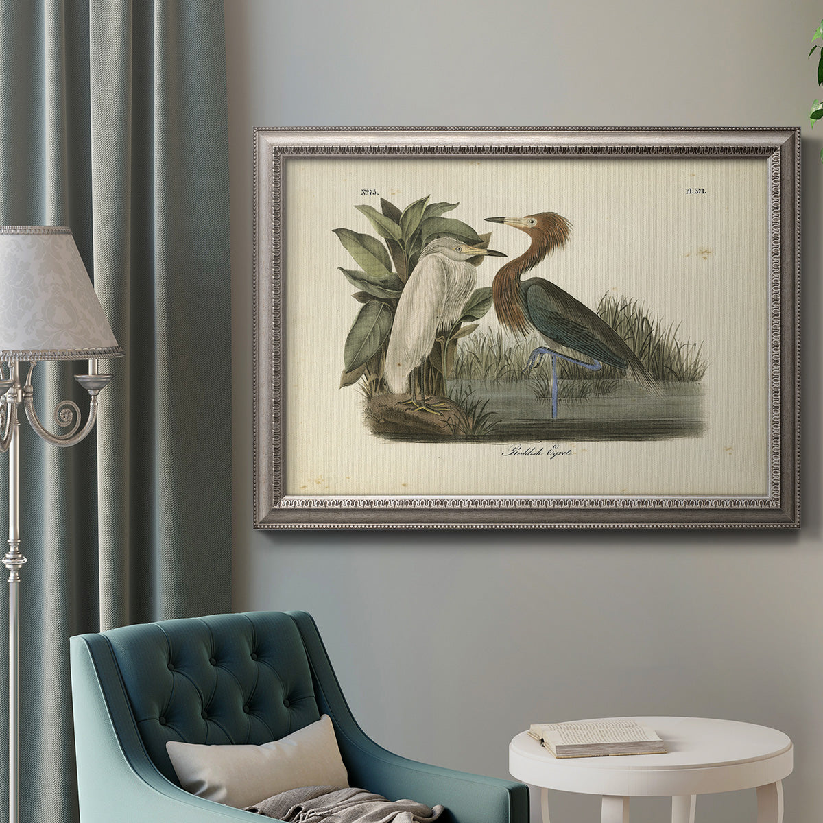 Antique reddish egret bird illustration by John James Audubon in an ornate vintage silver frame displayed in a neutral interior setting.