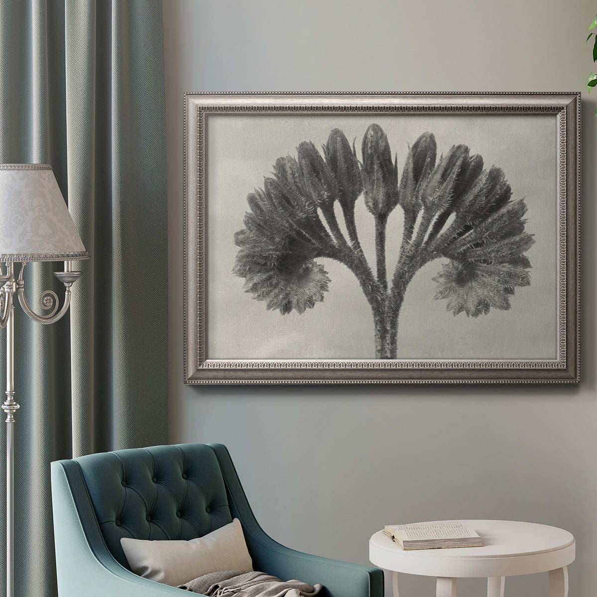 Vintage botanical plant study photograph by Karl Blossfeldt in an ornate vintage silver frame displayed in a neutral interior setting.