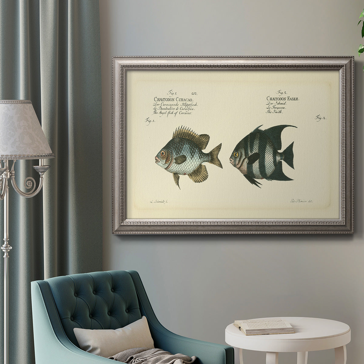 Antique fish chart illustration in an ornate vintage silver frame displayed in a neutral interior setting.