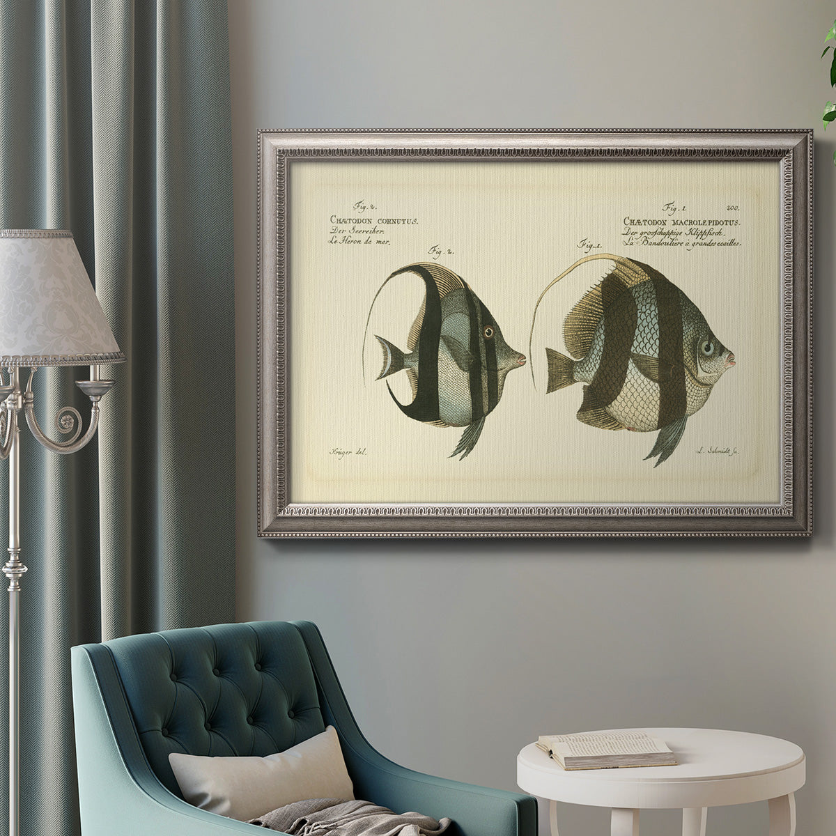 Antique fish species illustration diagram in an ornate vintage silver frame displayed in a neutral interior setting.