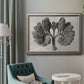 Monochrome botanical plant study photograph by Karl Blossfeldt in an ornate vintage silver frame displayed in a neutral interior setting.