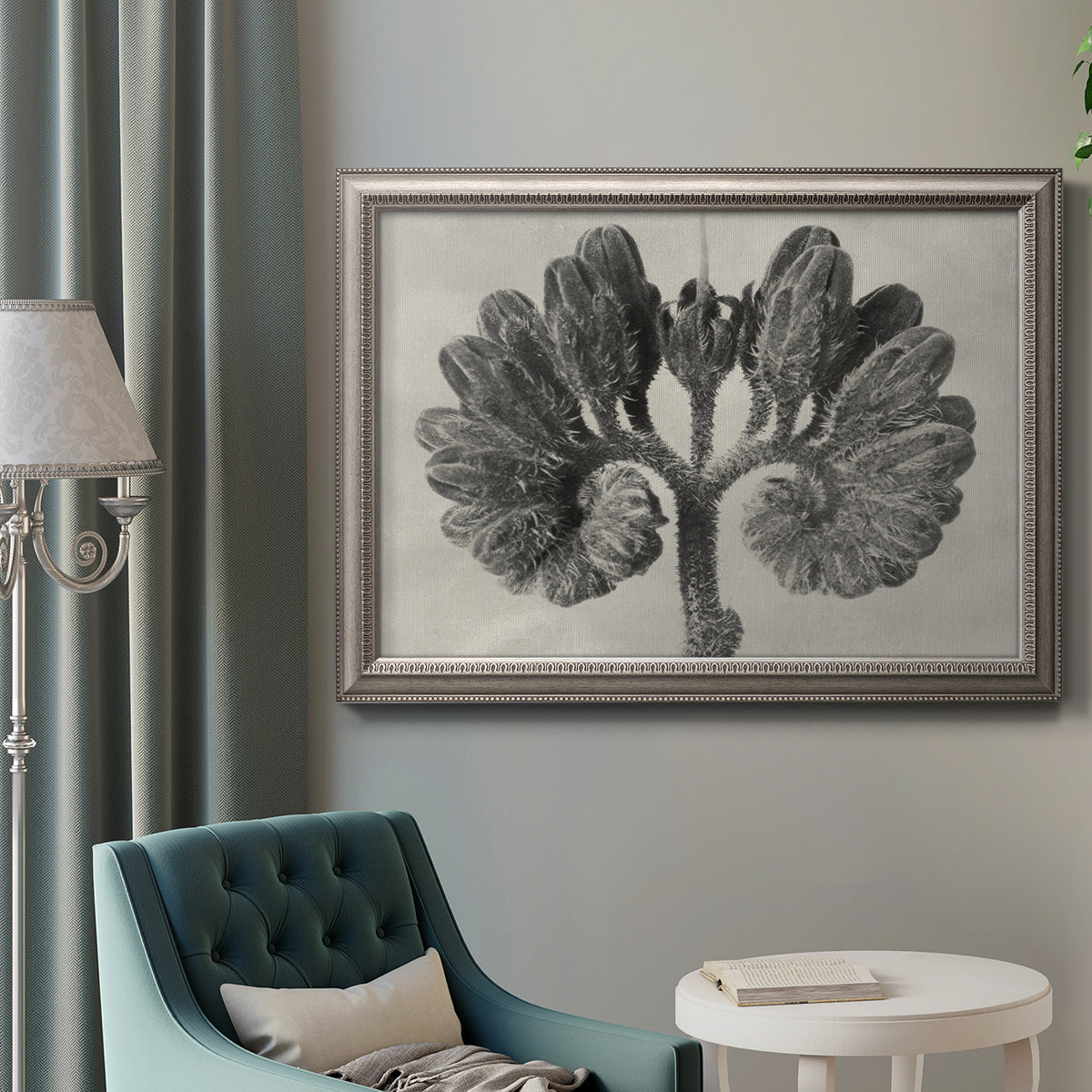 Monochrome botanical plant study photograph by Karl Blossfeldt in an ornate vintage silver frame displayed in a neutral interior setting.