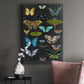 Graphic Butterfly Taxonomy I Premium Gallery Wrapped Canvas - Ready to Hang