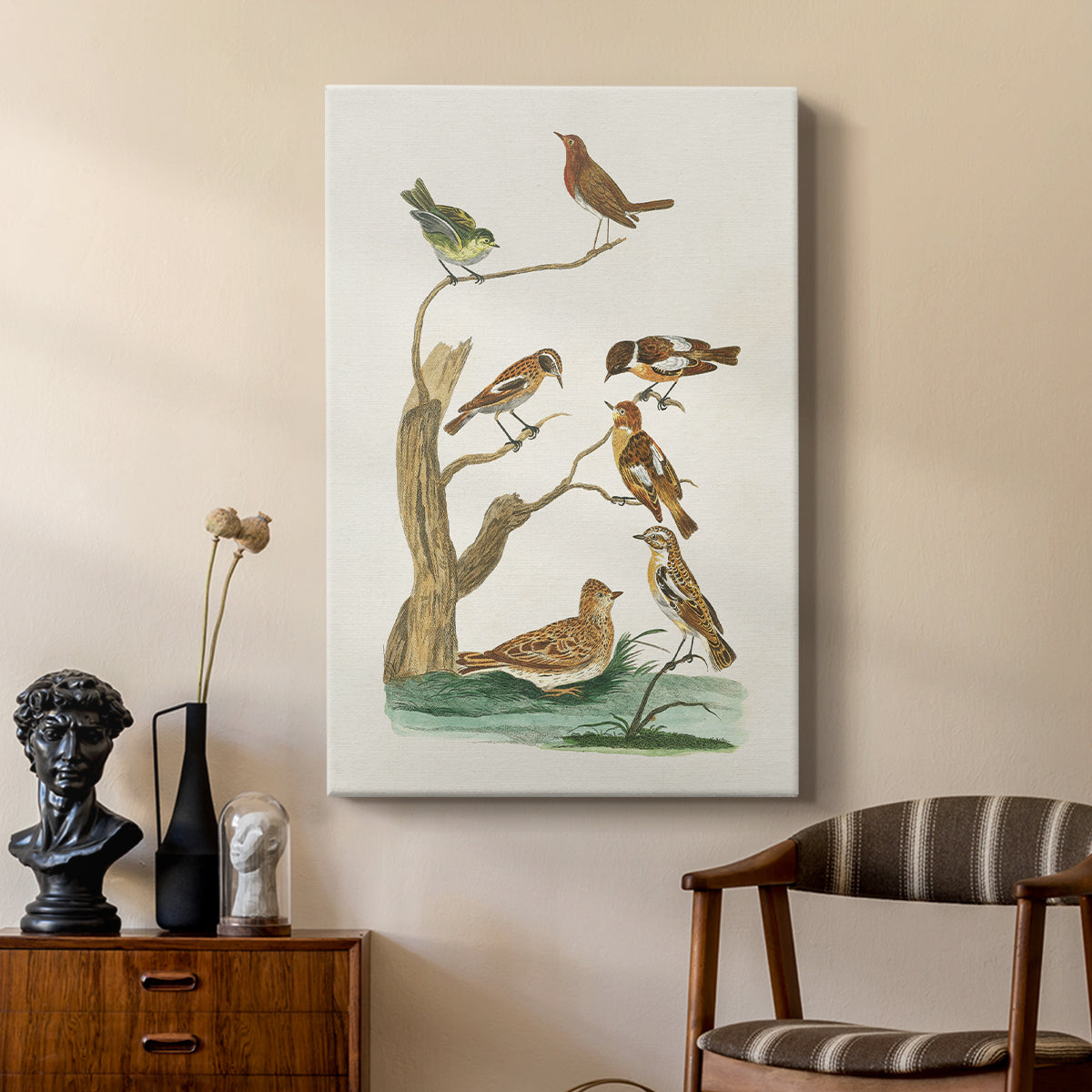 Antique Birds in Nature III - Canvas Art Print
