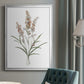 Dainty Botanical I - Modern Framed Canvas Print