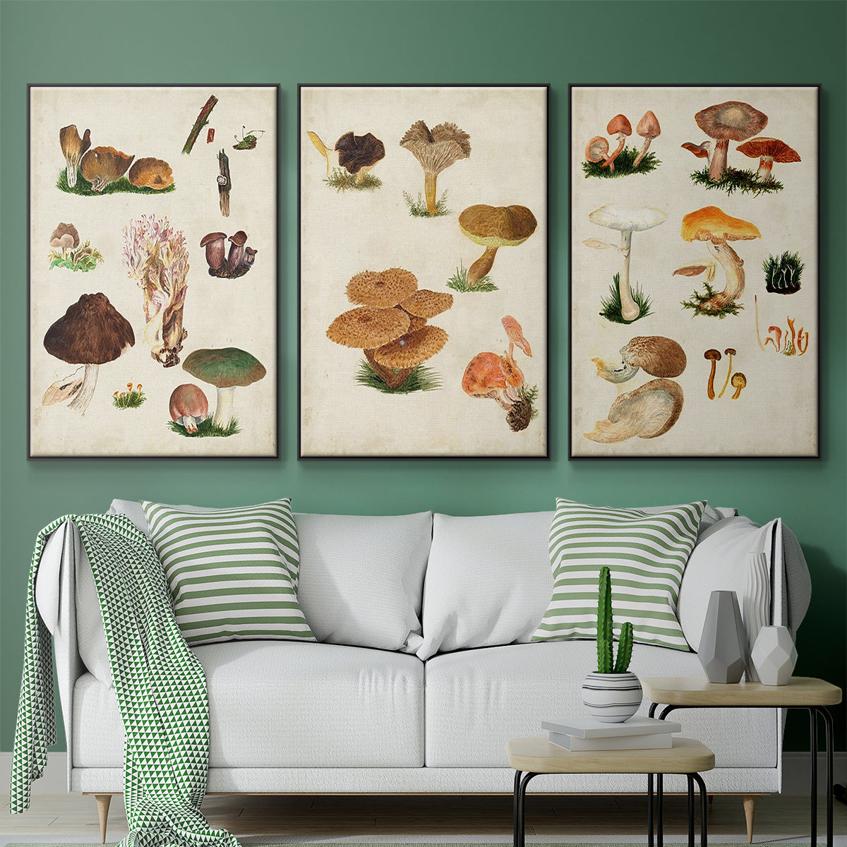 Mushroom Species I - Framed Premium Gallery Wrapped Canvas L Frame 3 Piece Set - Ready to Hang