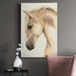 Golden Palomino II Premium Gallery Wrapped Canvas - Ready to Hang