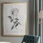 Vintage Botanical I - Modern Framed Canvas Print