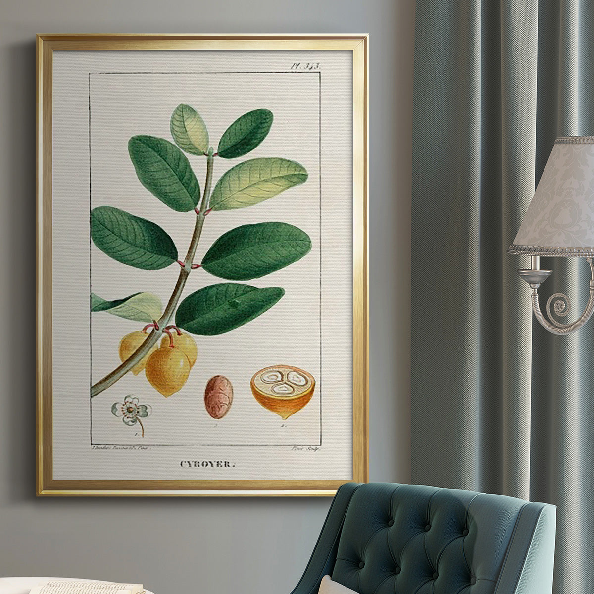 Turpin Tropical Botanicals V - Modern Framed Canvas Print