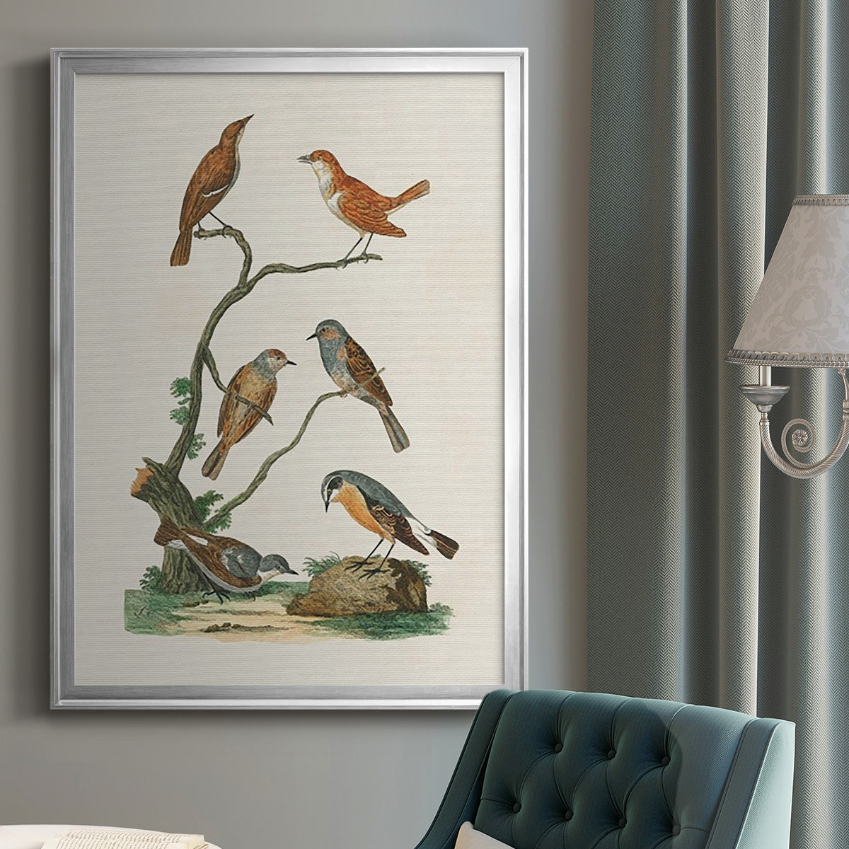 Antique Birds in Nature IV - Modern Framed Canvas Print