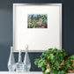 Arboretum in Spring Premium Framed Print Double Matboard