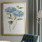 Petite Blue Hydrangea II - Modern Framed Canvas Print