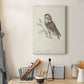 Little Owl Premium Gallery Wrapped Canvas - Ready to Hang