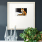 Fox- Premium Framed Print Double Matboard