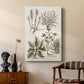 Sepia Botanical Journal VII - Canvas Art Print