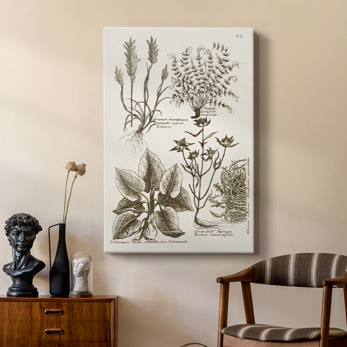 Sepia Botanical Journal VII - Canvas Art Print