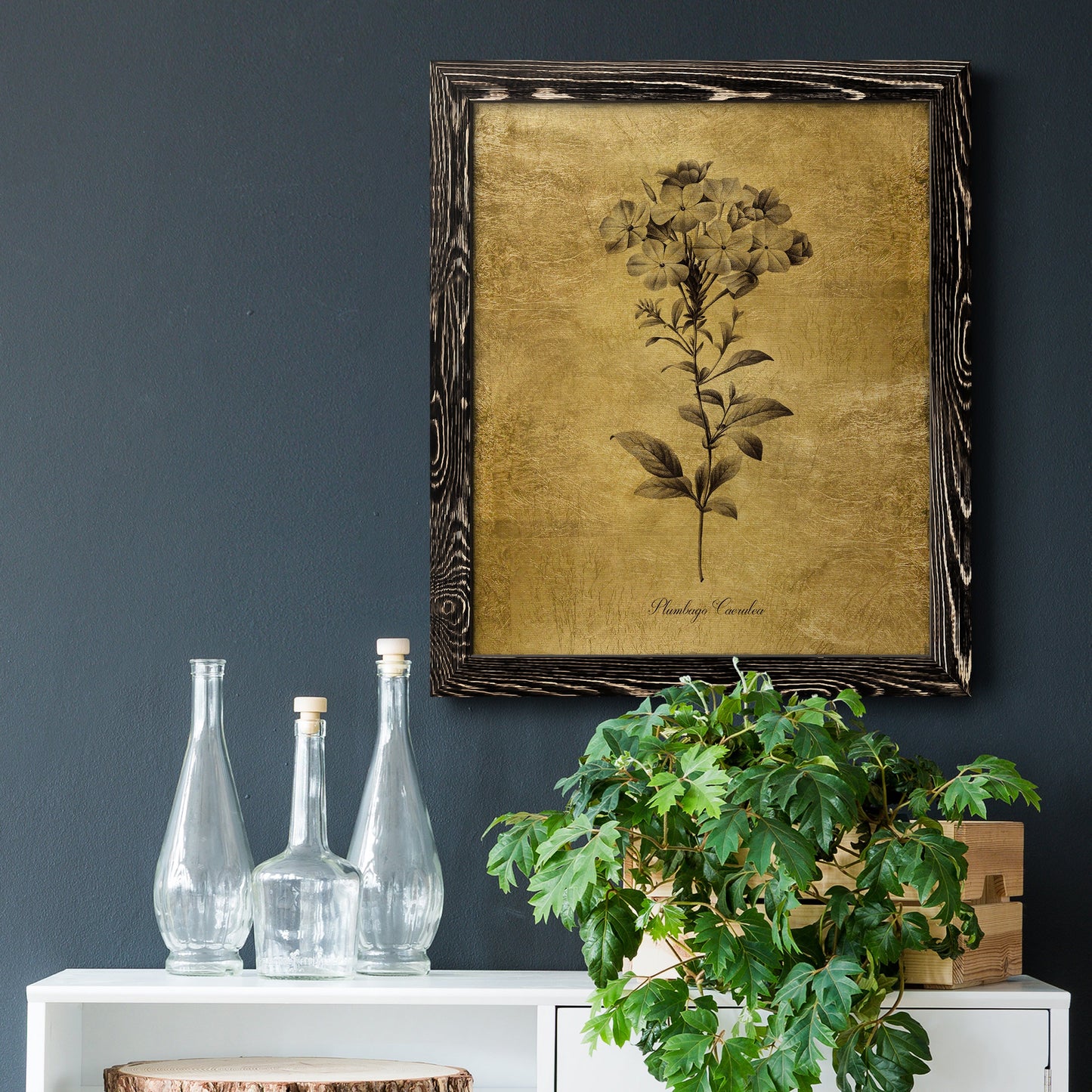 Gold Sketch Botanical II - Barnwood Framed Canvas Print