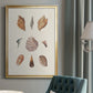 Knorr Shells & Coral VI - Modern Framed Canvas Print