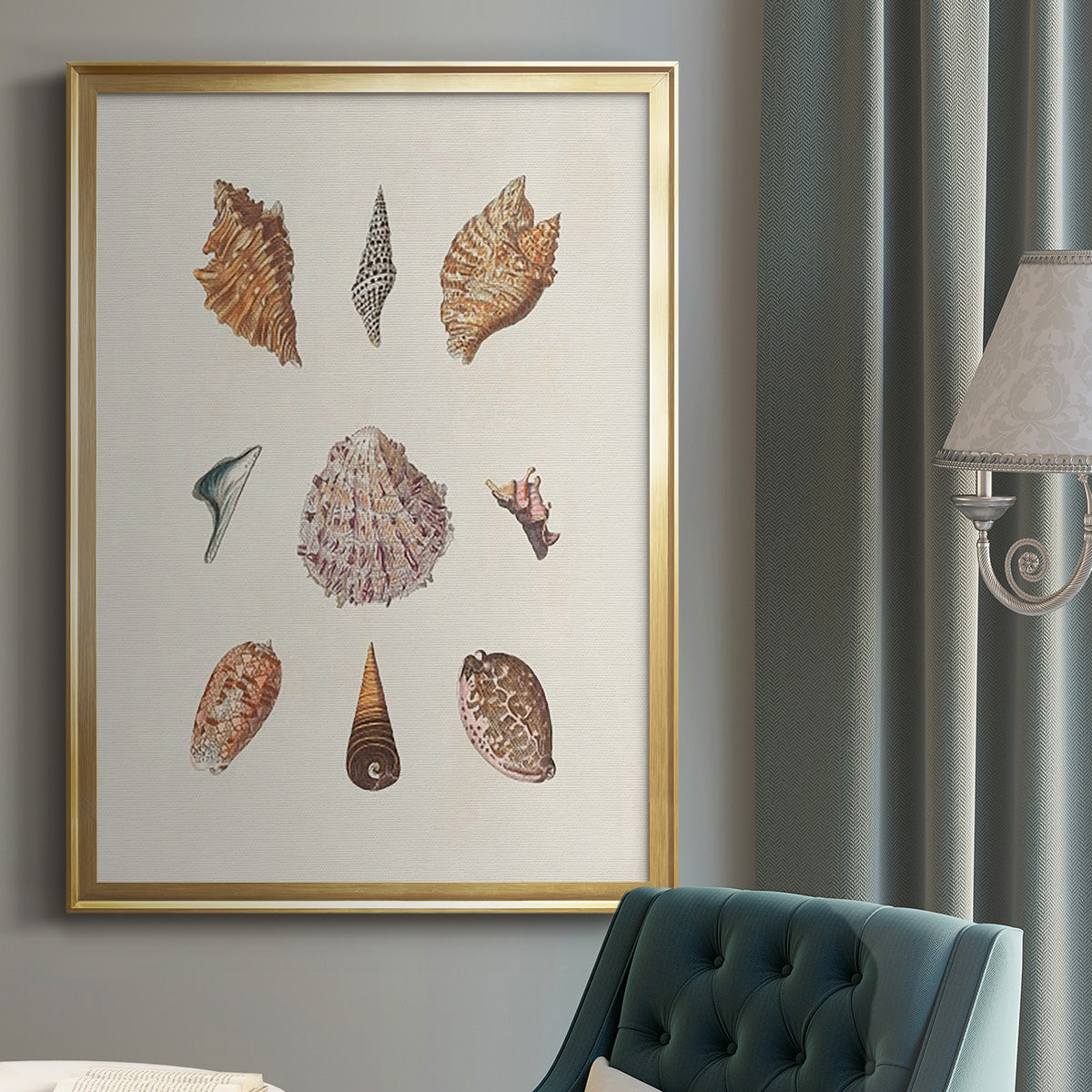 Knorr Shells & Coral VI - Modern Framed Canvas Print