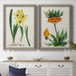 Set of two gray barnwood framed canvas prints depicting a coordinated art pair of colorful flowering plant specimens rendered as antique botanical plate illustrations above a dining room sideboard.