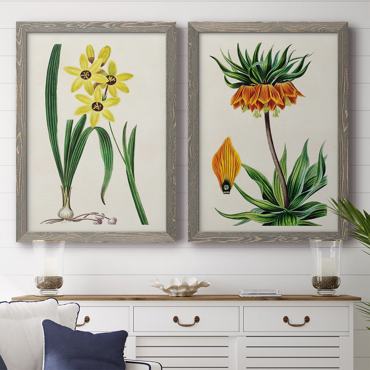 Set of two gray barnwood framed canvas prints depicting a coordinated art pair of colorful flowering plant specimens rendered as antique botanical plate illustrations above a dining room sideboard.