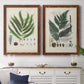 Set of two maple barnwood framed canvas prints depicting a coordinated art pair of vintage fern specimens with botanical details rendered as natural-history fern plates above a dining room sideboard.
