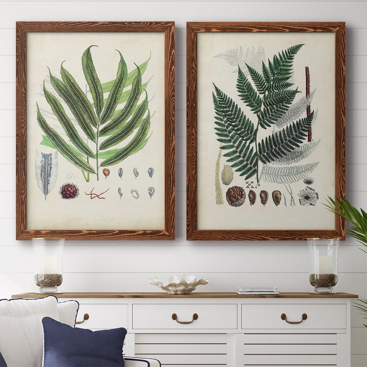 Set of two maple barnwood framed canvas prints depicting a coordinated art pair of vintage fern specimens with botanical details rendered as natural-history fern plates above a dining room sideboard.
