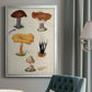 Mushroom Species VII - Modern Framed Canvas Print