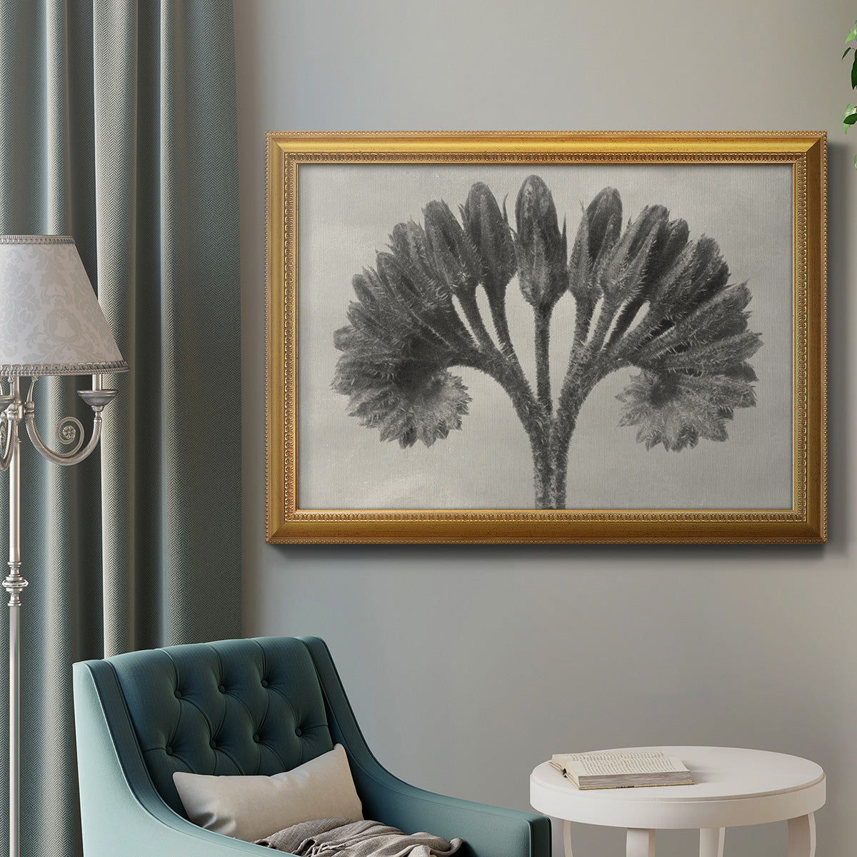 Vintage botanical plant study photograph by Karl Blossfeldt in an ornate antique gold frame displayed in a neutral interior setting.