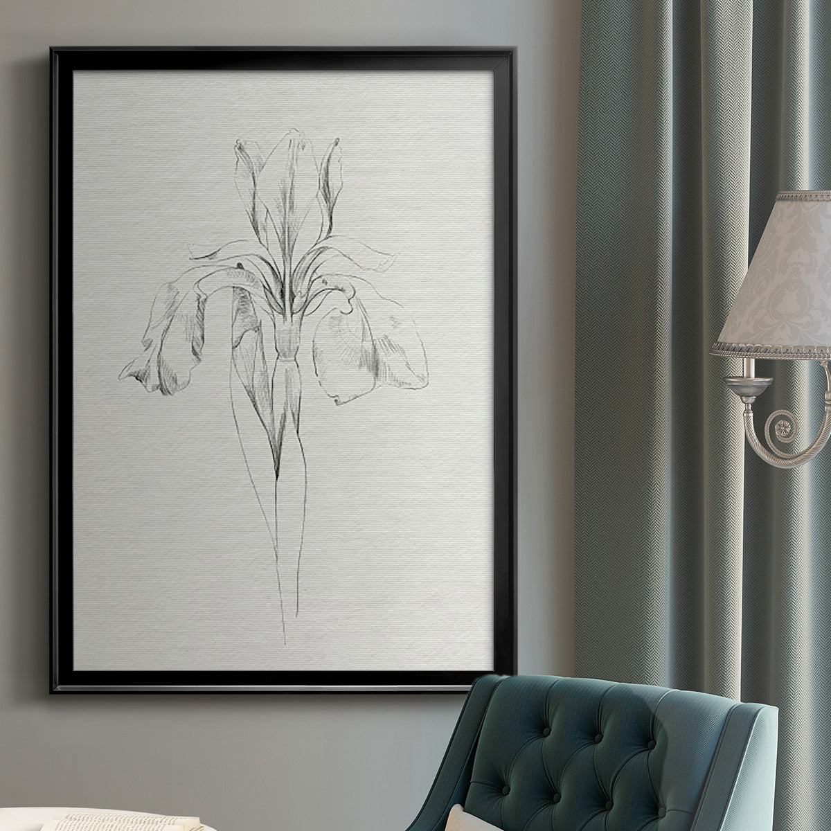 Neutral Iris Sketch I - Modern Framed Canvas Print