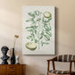 Buchoz Tropicals III - Canvas Art Print