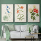 Flowers of the Seasons I - Framed Premium Gallery Wrapped Canvas L Frame 3 Piece Set - Ready to Hang