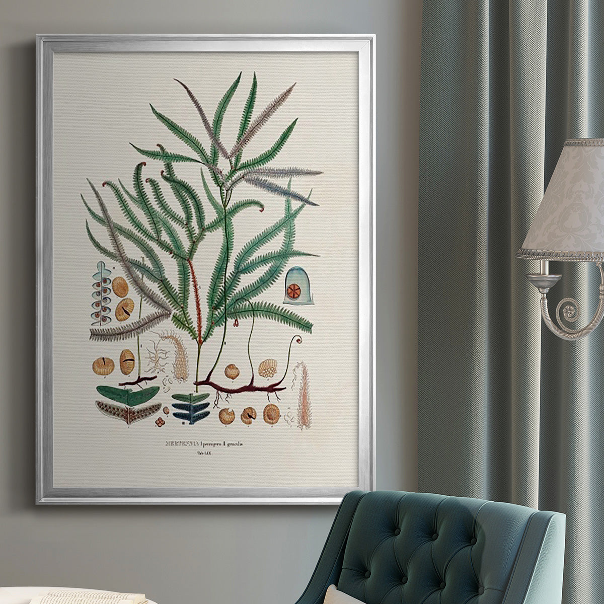 Botanical Society Ferns VII - Modern Framed Canvas Print