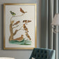 Antique Birds in Nature III - Modern Framed Canvas Print