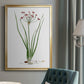 Rose Botanical II - Modern Framed Canvas Print