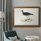 Morris Sandpipers VIII Premium Framed Canvas- Ready to Hang