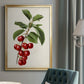 Antique Fruit II - Modern Framed Canvas Print