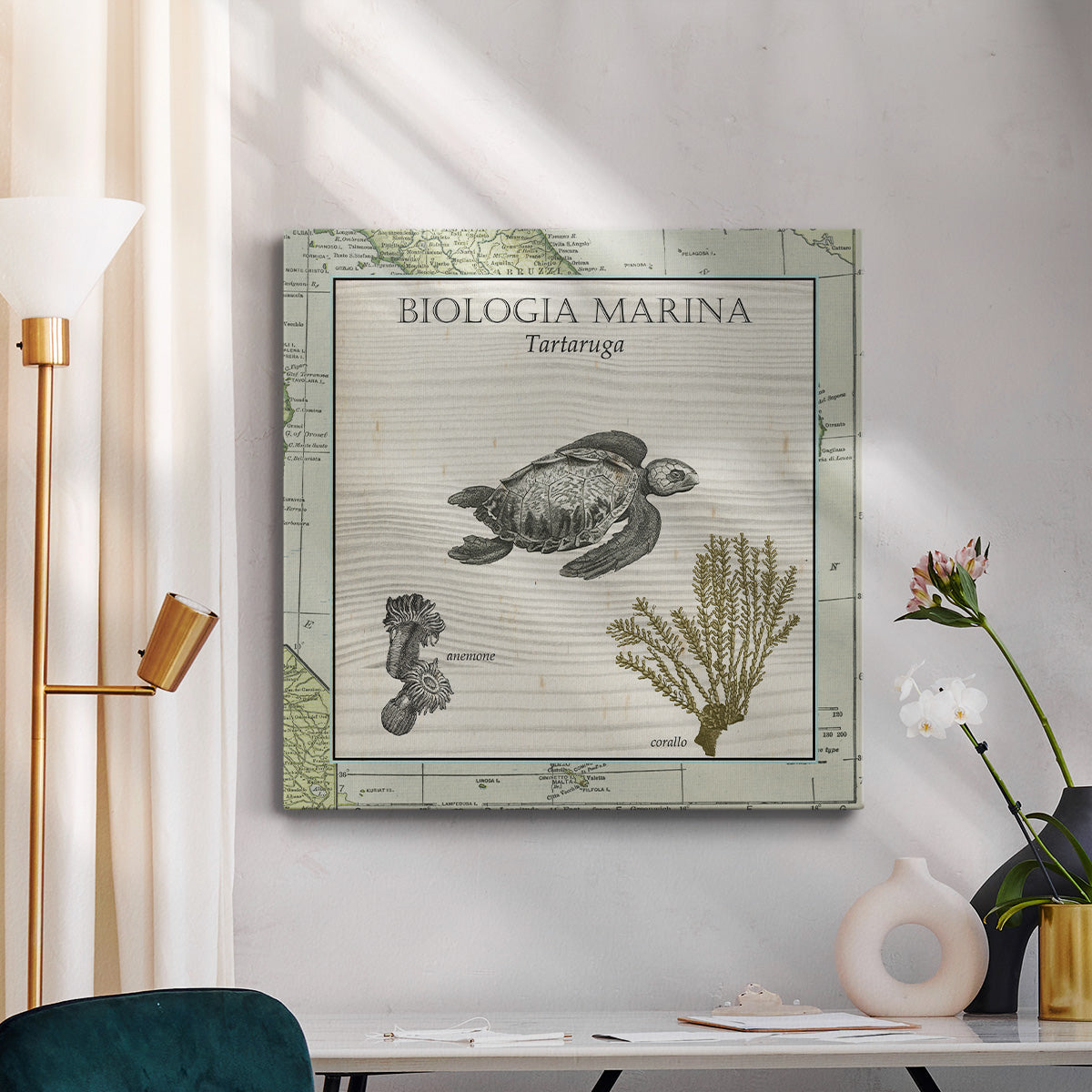 Biologia Marina IV - Canvas Art Print