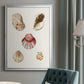 Pastel Knorr Shells V - Modern Framed Canvas Print
