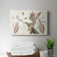 Amaryllis Varietals II - Canvas Art Print
