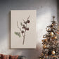 Frostlit Manger Blessing - Canvas Art Print