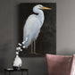 White Heron Portrait I  Premium Gallery Wrapped Canvas - Ready to Hang